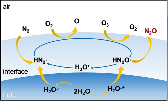 Rapid N2O Formation from N2 on Water Droplet Surfaces