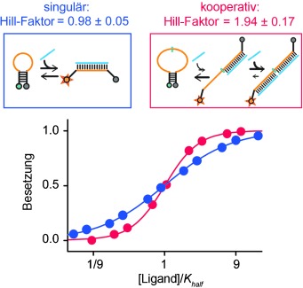 Using the Population-Shift Mechanism to Rationally Introduce “Hill-type” Cooperativity into a Normally Non-Cooperative Receptor