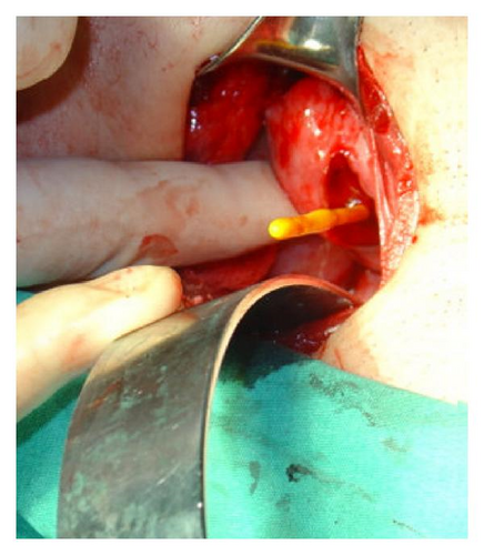 Details are in the caption following the image Details are in the caption following the image