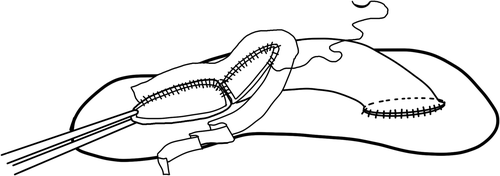 Details are in the caption following the image Details are in the caption following the image