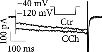 Details are in the caption following the image