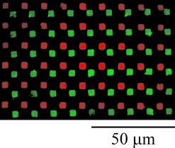 Fabricating Microarrays of Functional Proteins Using Affinity Contact Printing