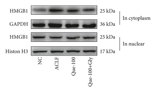 Details are in the caption following the image