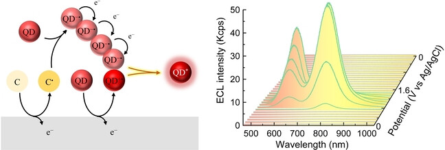 Interparticle Charge-Transport-Enhanced Electrochemiluminescence of Quantum-Dot Aerogels
