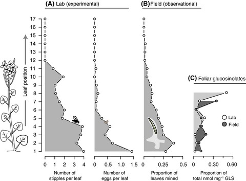 Aversion and attraction to harmful plant secondary compounds jointly shape the foraging ecology of a specialist herbivore