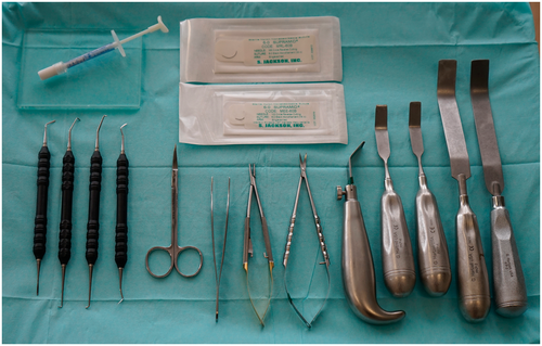 Details are in the caption following the image Details are in the caption following the image