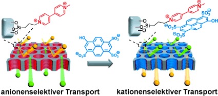 Supramolecular Gating of Ion Transport in Nanochannels