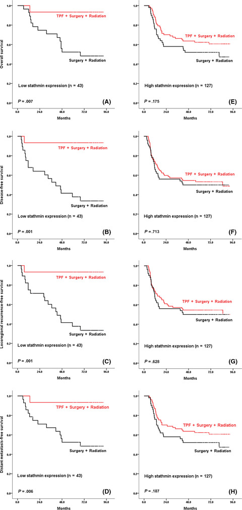 Stathmin guides personalized therapy in oral squamous cell carcinoma