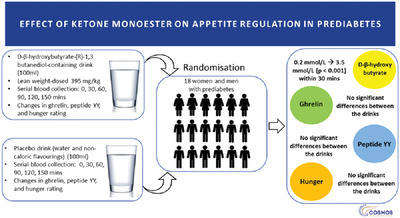 Effect of d-β-Hydroxybutyrate-(R)-1,3 Butanediol on Appetite Regulation in People with Prediabetes
