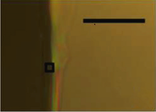 Details are in the caption following the image