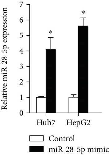 Details are in the caption following the image