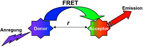 Materialien für den resonanten Fluoreszenzenergietransfer (FRET): jenseits klassischer Donor-Acceptor-Kombinationen