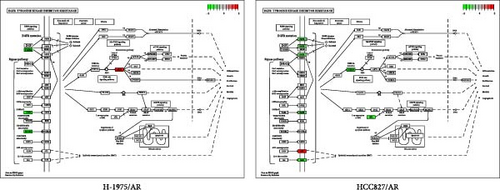 Details are in the caption following the image