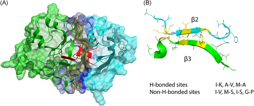 Details are in the caption following the image Details are in the caption following the image