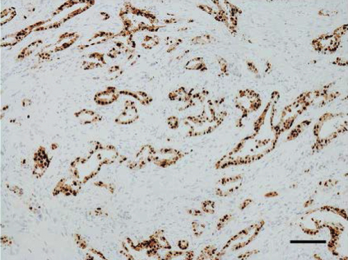 Details are in the caption following the image