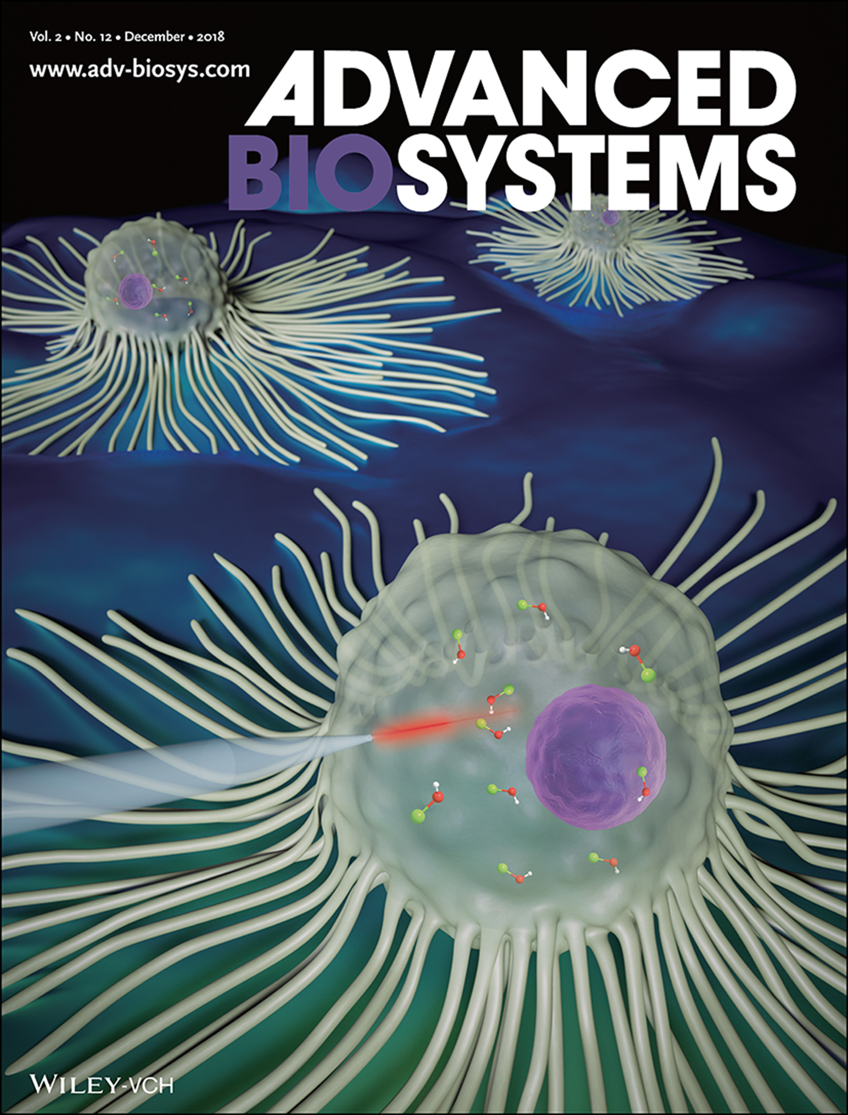 Silicon Nanowires: Single Silicon Nanowire-Based Fluorescent Sensor for Endogenous Hypochlorite in an Individual Cell (Adv. Biosys. 12/2018) Volume 2 Issue 12, 2018