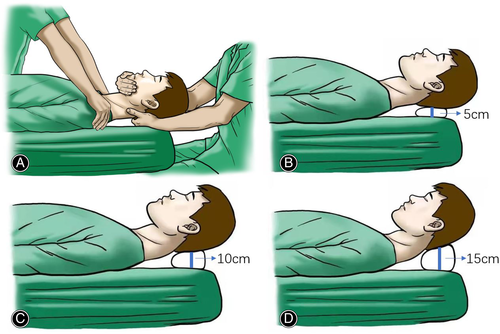 Details are in the caption following the image Details are in the caption following the image