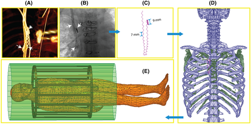 Details are in the caption following the image Details are in the caption following the image