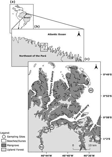 Details are in the caption following the image