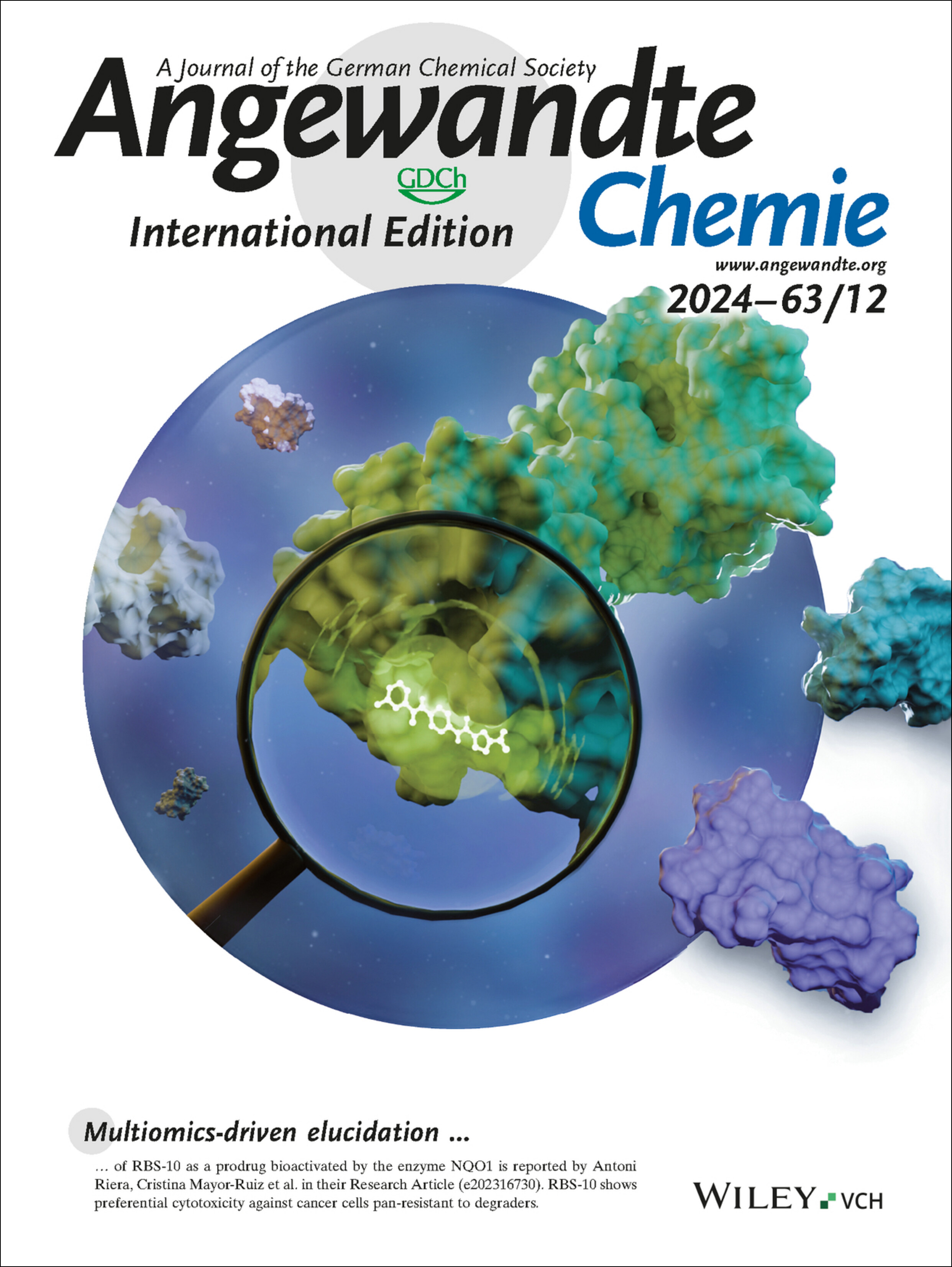 Inside Cover: Discovery and Mechanistic Elucidation of NQO1-Bioactivatable Small Molecules That Overcome Resistance to Degraders (Angew. Chem. Int. Ed. 12/2024) Volume 63 Issue 12, 2024