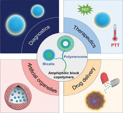 Polymeric Nanoarchitectures: Advanced Cargo Systems for Biological Applications