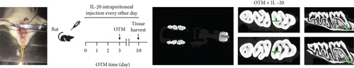 Details are in the caption following the image