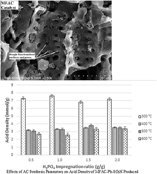 Synthesis and characterization of monk fruit seed (Siraitia grosvenorii)-based heterogeneous acid catalyst for biodiesel production through esterification process