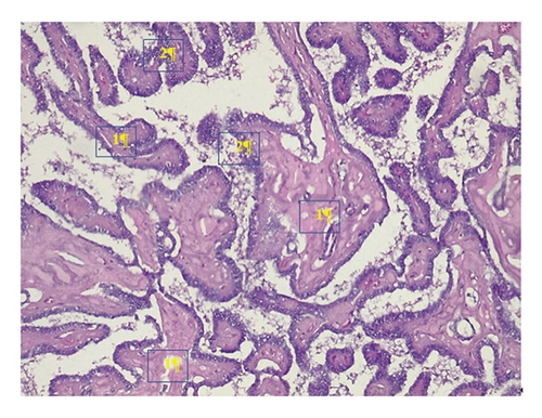 Details are in the caption following the image Details are in the caption following the image