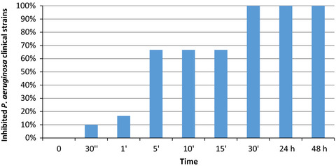 In vitro antimicrobial activity of a gel containing antimicrobial peptide AMP2041, chlorhexidine digluconate and Tris-EDTA on clinical isolates of Pseudomonas aeruginosa from canine otitis