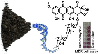 Arimetamycin A: Improving Clinically Relevant Families of Natural Products through Sequence-Guided Screening of Soil Metagenomes