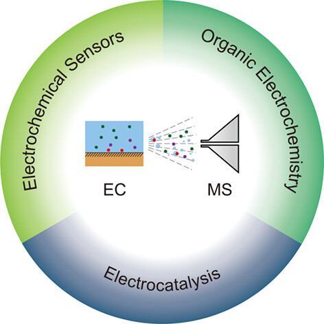 Recent Advances in Real-Time Analysis of Electrochemical Reactions by Electrochemical Mass Spectrometry†