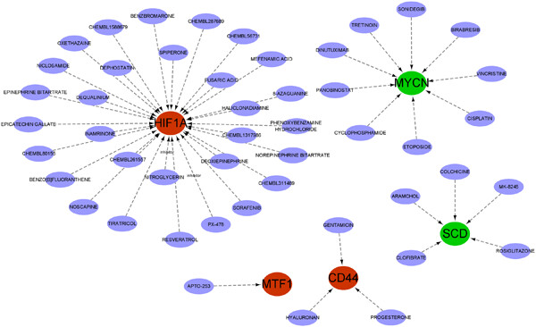 Identification of ferroptosis-related genes in type 2 diabetes mellitus based on machine learning