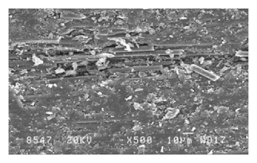 Details are in the caption following the image