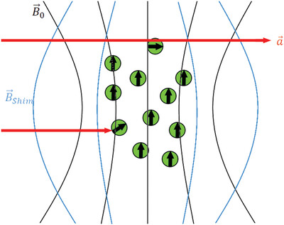 Fast Shimming Algorithm Based on Bayesian Optimization for Magnetic Resonance Based Dark Matter Search