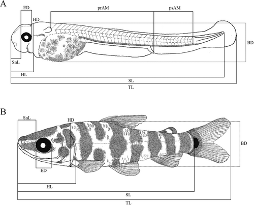 Details are in the caption following the image