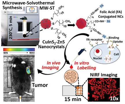Microwave-Assisted Synthesis of Quasi-Pyramidal CuInS2–ZnS Nanocrystals for Enhanced Near-Infrared Targeted Fluorescent Imaging of Subcutaneous Melanoma