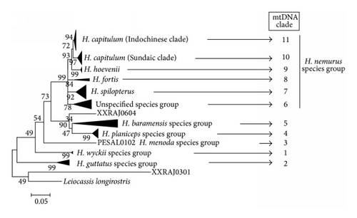 Details are in the caption following the image
