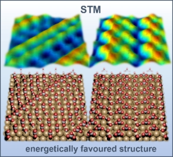 Structure of the (Bi)carbonate Adlayer on Cu(100) Electrodes