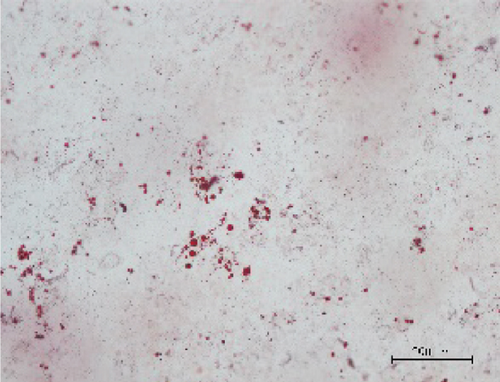 Details are in the caption following the image