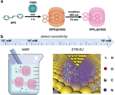 Tracking Confined Reaction Based on Host–Guest Interaction Using Single-Molecule Conductance Measurement