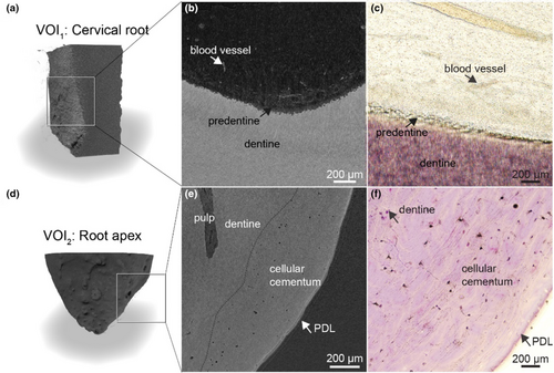 Details are in the caption following the image Details are in the caption following the image
