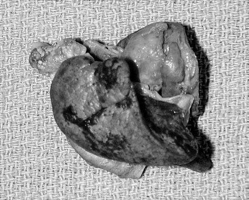 Details are in the caption following the image