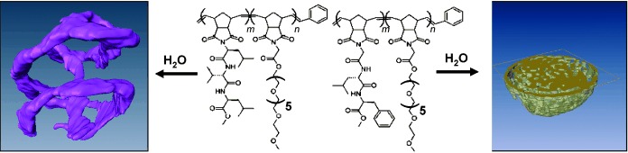 Cryo Electron Tomography Reveals Confined Complex Morphologies of Tripeptide-Containing Amphiphilic Double-Comb Diblock Copolymers