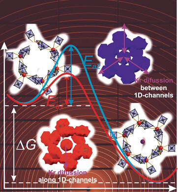 Kinetic Barriers and Microscopic Mechanisms of Noble Gas Adsorption by Nanoporous γ-Mg(BH4)2 Obtained by Means of Sub-Second X-Ray Diffraction