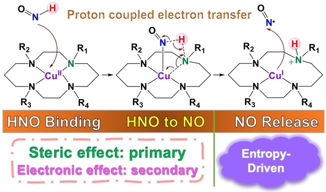 Mechanistic Origin of Favorable Substituent Effects in Excellent Cu Cyclam Based HNO Sensors