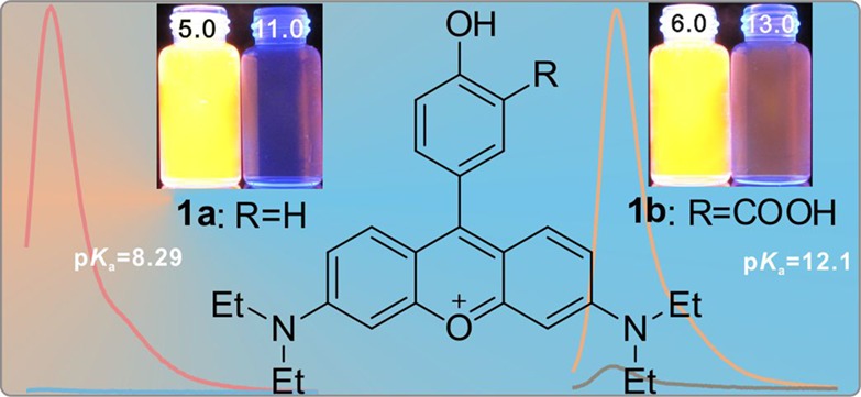 Fluorescence Responses of the Protonation and Deprotonation Processes between Phenolate and Phenol within Rosamine