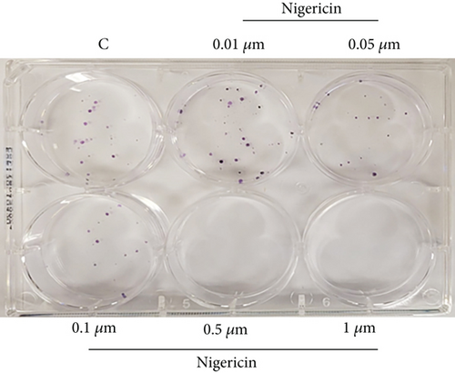 Details are in the caption following the image Details are in the caption following the image