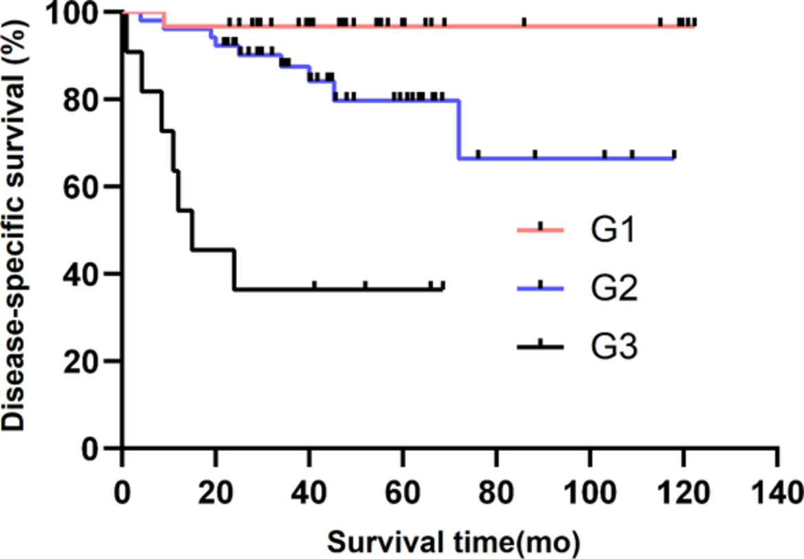 Predicting survival in non-functional pancreatic neuroendocrine tumours