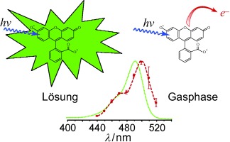 On the Intrinsic Photophysics of Fluorescein