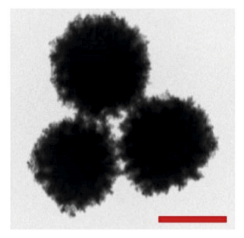 Details are in the caption following the image